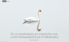 Imágenes Cristianas sobre la Paz